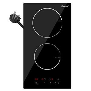 GIONIEN Plug in Induction Hob 2 Ring